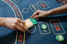 bt7k bet bt7k bet
